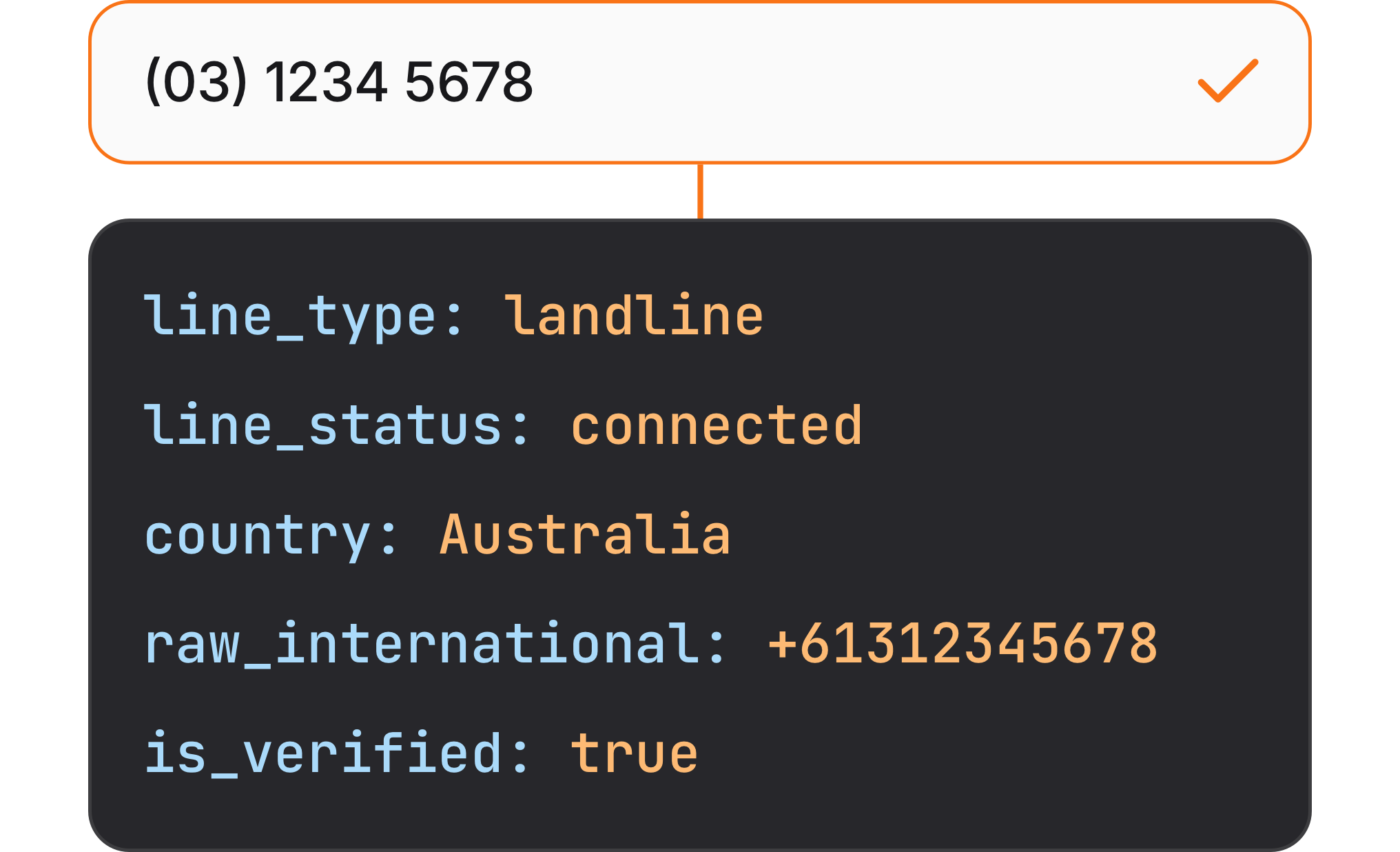 phone number checker showing phone verification and phone metadata