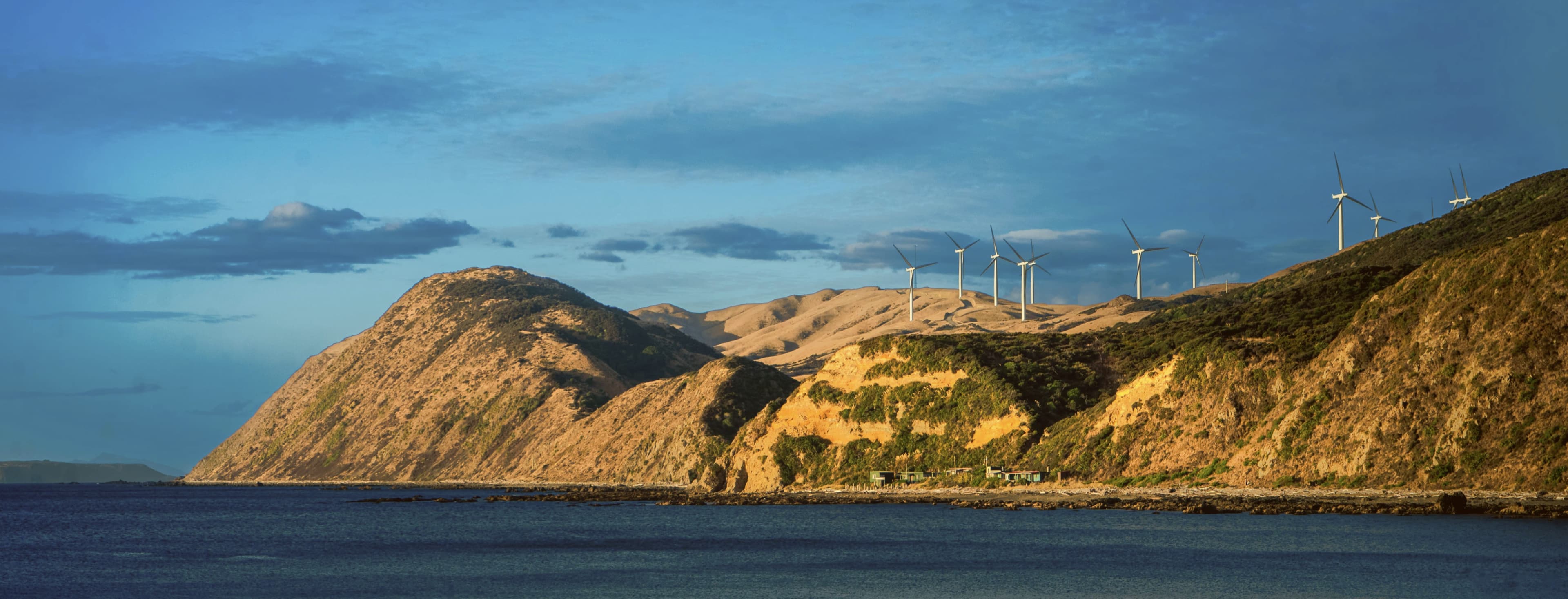 View of Makara in Wellington