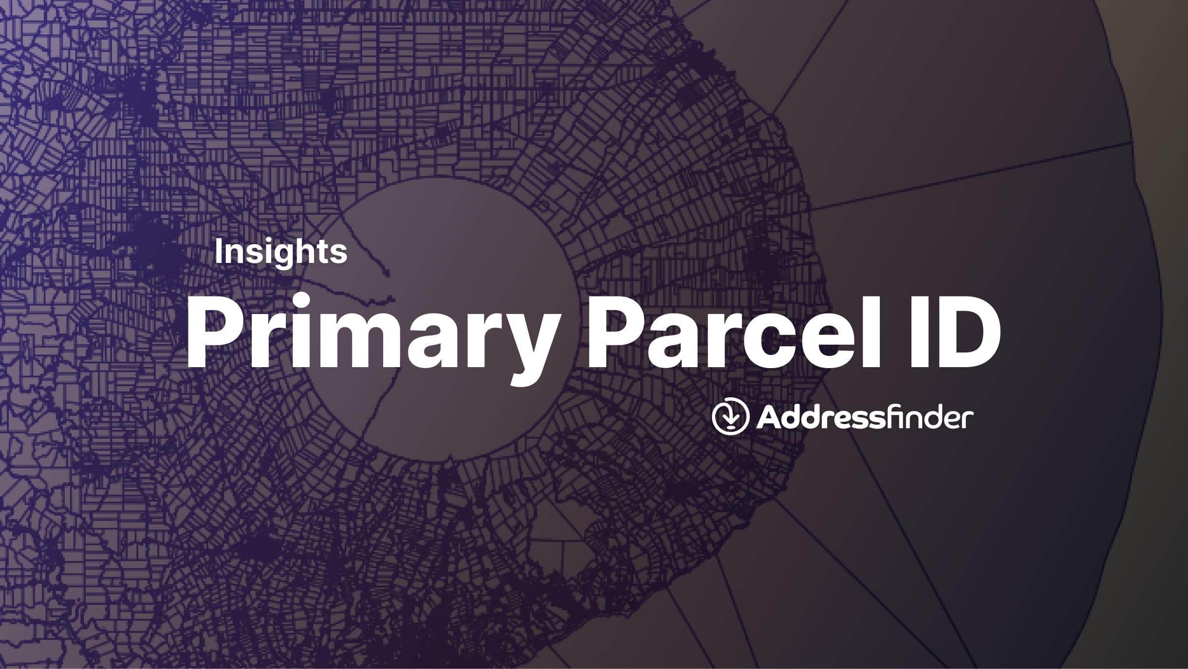 primary parcel id 