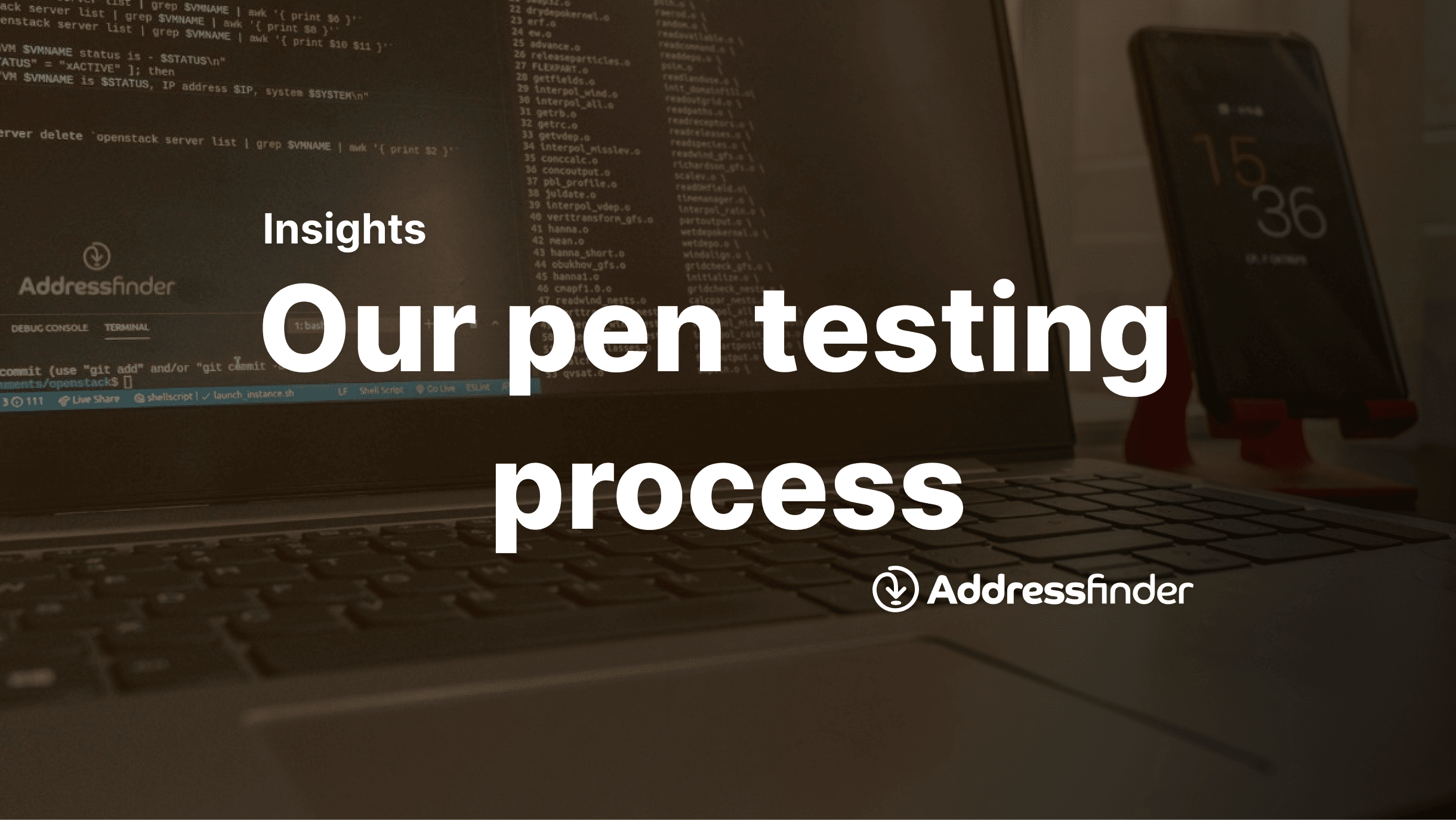 our our penetration testing process